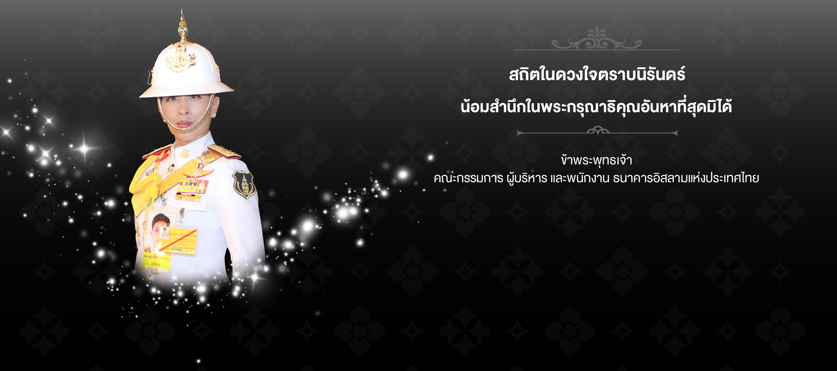 banner-main